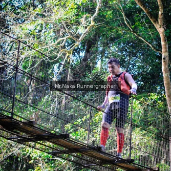 Runner Photo 1228550