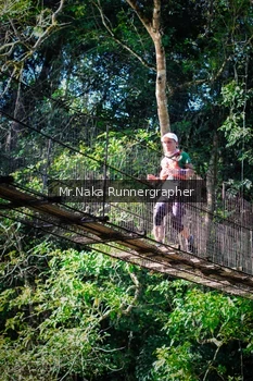 Runner Photo 1228566
