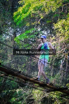 Runner Photo 1228746