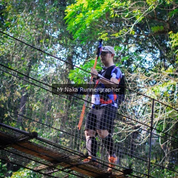 Runner Photo 1228751