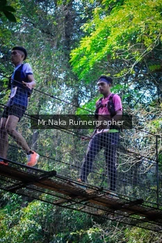 Runner Photo 1234356
