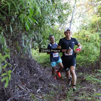 Runner Photo 1237129