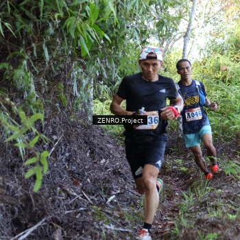 Runner Photo 1237130