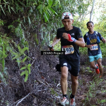 Runner Photo 1237131