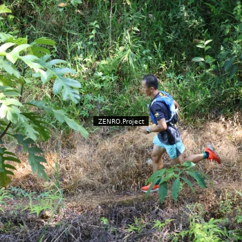 Runner Photo 1237137