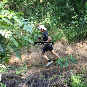 Runner Photo 1237140