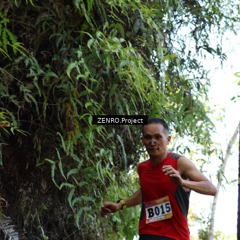 Runner Photo 1237147