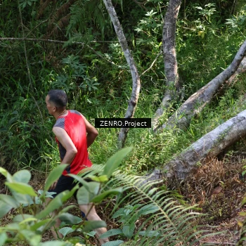 Runner Photo 1237150