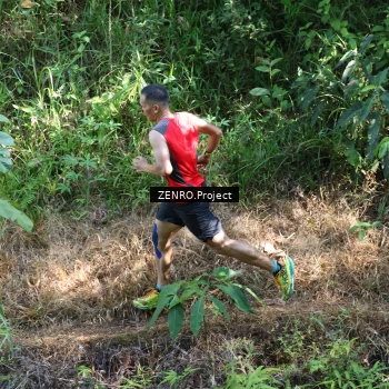 Runner Photo 1237151