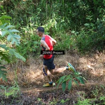 Runner Photo 1237152
