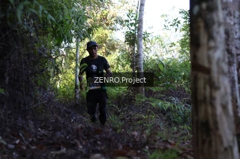 Runner Photo 1237248