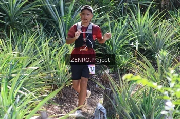 Runner Photo 1237537