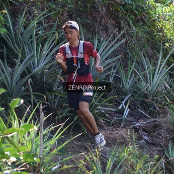 Runner Photo 1237539