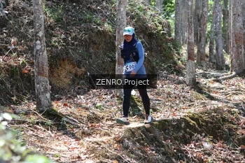 Runner Photo 1238148