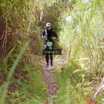 Runner Photo 1238480