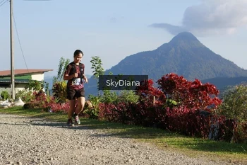 Runner Photo 1238595