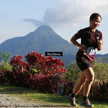Runner Photo 1238597