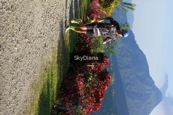 Runner Photo 1238655