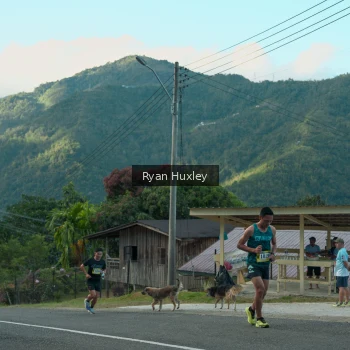 Runner Photo 1238663