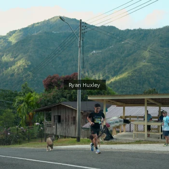 Runner Photo 1238665