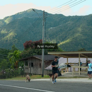 Runner Photo 1238667