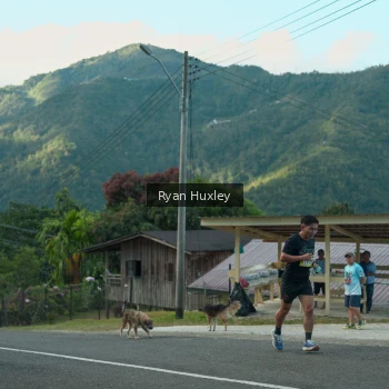 Runner Photo 1238670