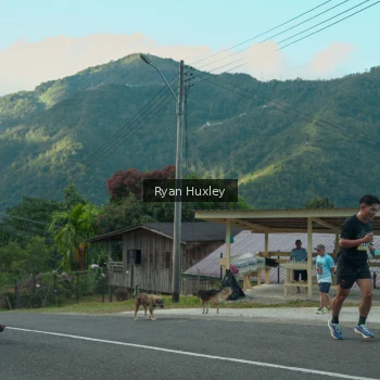Runner Photo 1238671