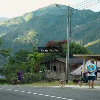 Runner Photo 1238673