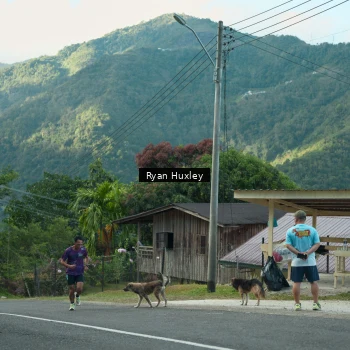 Runner Photo 1238678