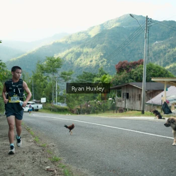 Runner Photo 1238686