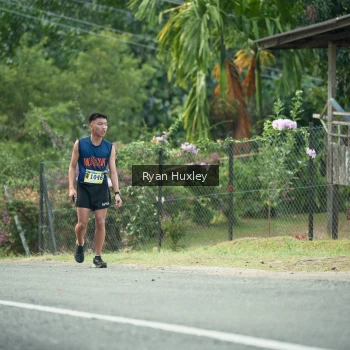 Runner Photo 1238700