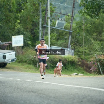 Runner Photo 1238711