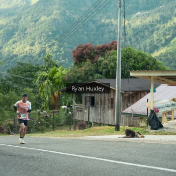 Runner Photo 1238716