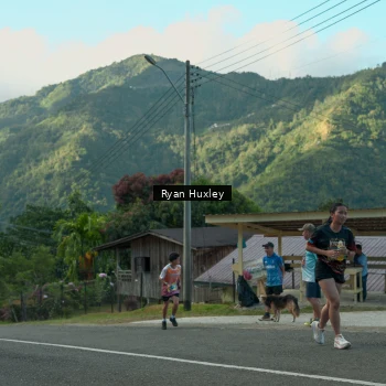 Runner Photo 1238804