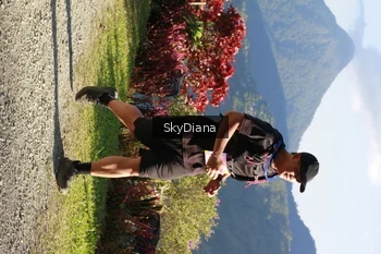 Runner Photo 1238844