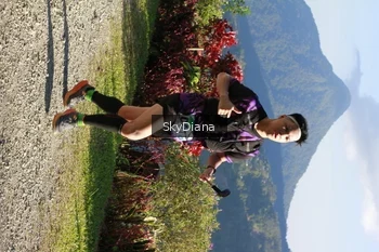 Runner Photo 1238945