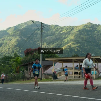 Runner Photo 1239052