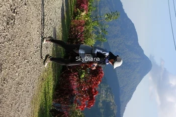 Runner Photo 1239152
