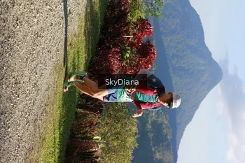 Runner Photo 1239163