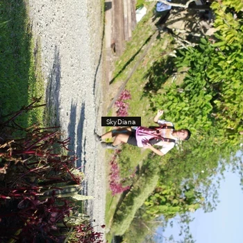 Runner Photo 1239194