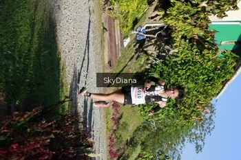 Runner Photo 1239205