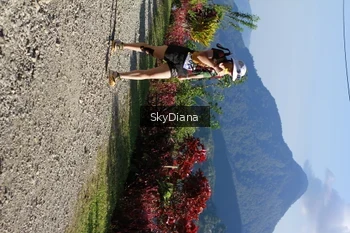 Runner Photo 1239231