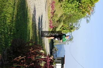 Runner Photo 1239245
