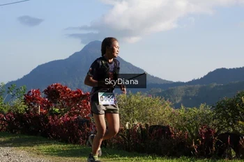 Runner Photo 1239254