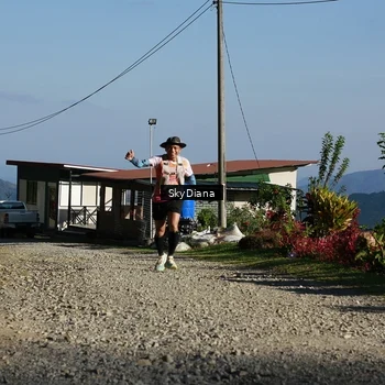Runner Photo 1239260
