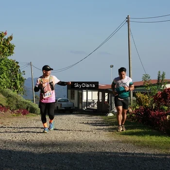 Runner Photo 1239265
