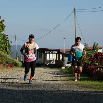 Runner Photo 1239274