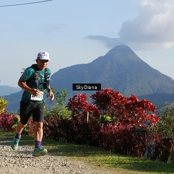 Runner Photo 1239275