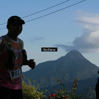 Runner Photo 1239287