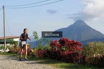 Runner Photo 1239292